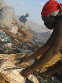 scavenging_2005 scavenging_2005