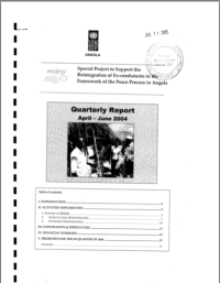 2004 - UNDP DDR Report