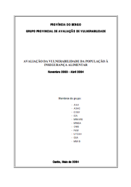 Bengo Vulnerability Assessment Report - June 2004