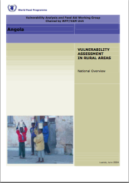 National Overview Vulnerability Assessment Report