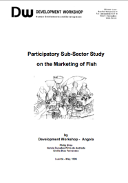 Subsector Report on Urban Fish Marketing in Angola - DW 1996