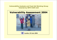 Vulnerability Report 2004